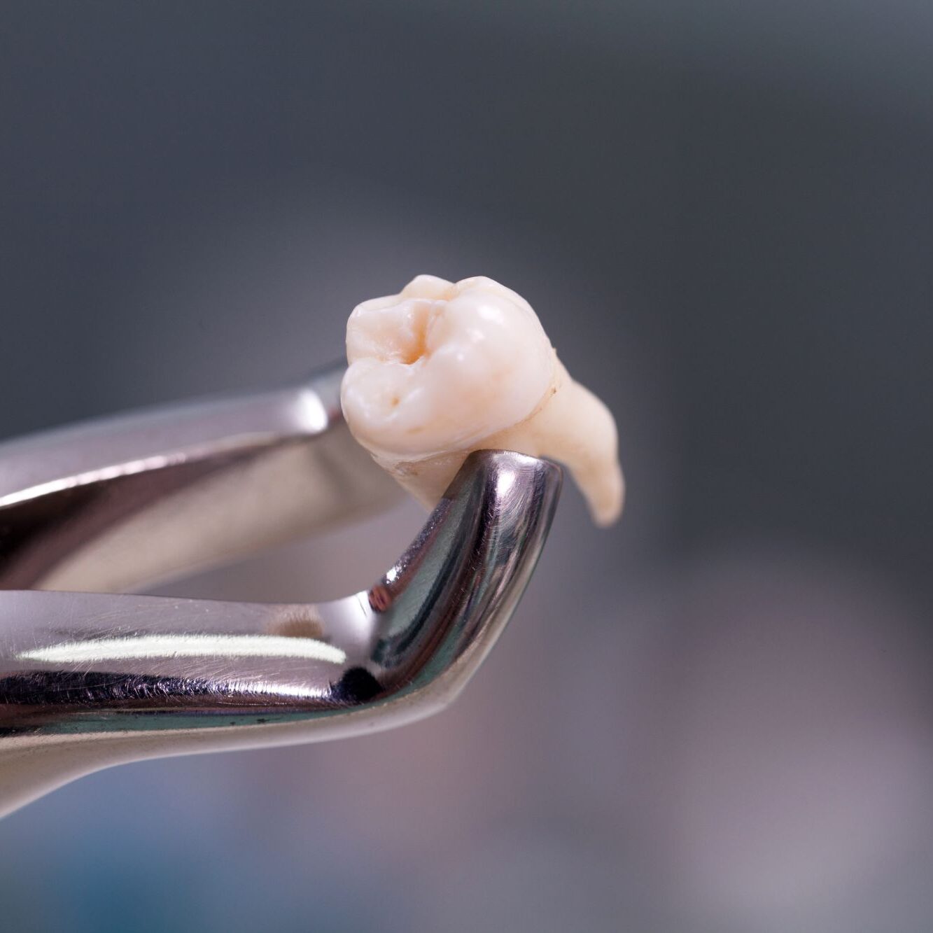 Dentistry Plymouth MN